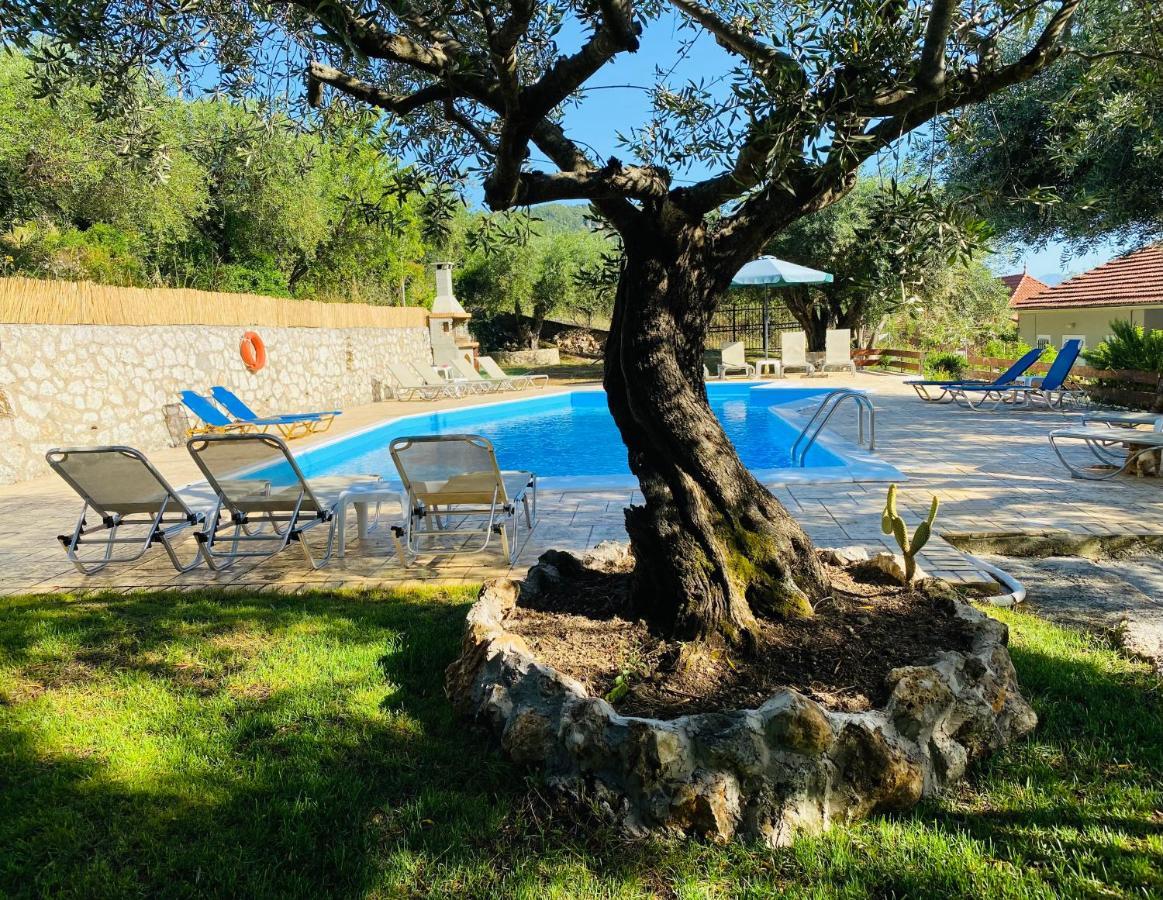 בניטסס Olive Grove Poolside Apartments מראה חיצוני תמונה